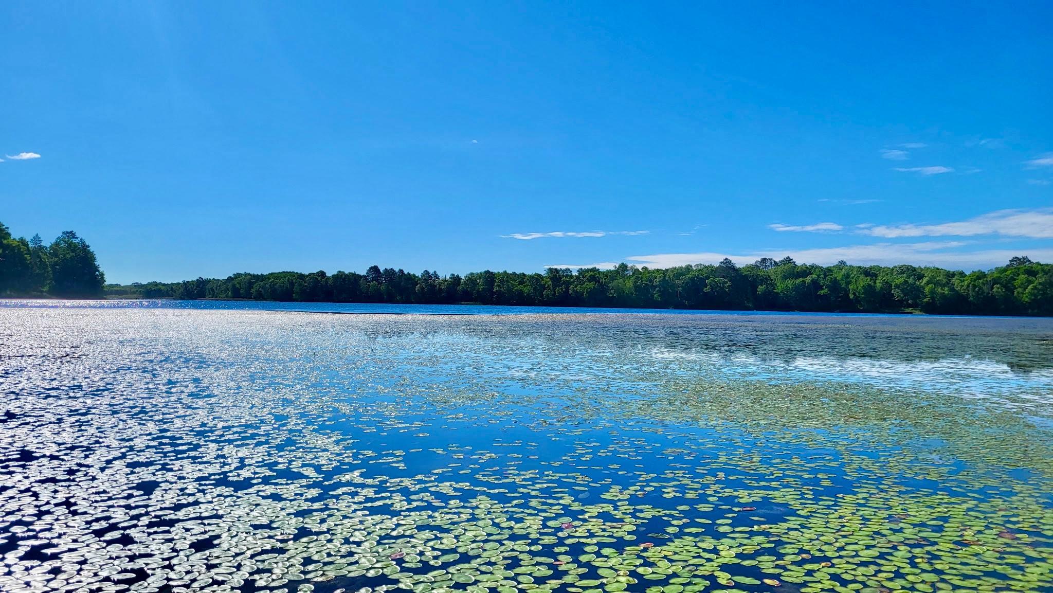 land for sale at TBD Brush Lake Lane in Park Rapids, MN (photo 4 of 13)