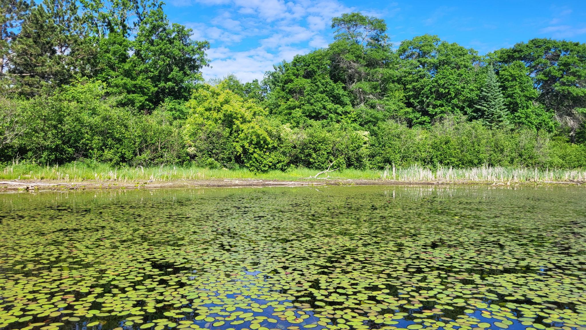 land for sale at TBD Brush Lake Lane in Park Rapids, MN (photo 6 of 13)