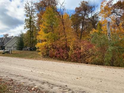 TBD Parview Lane NE, Alexandria MN 56308 - Photo 4 of 5