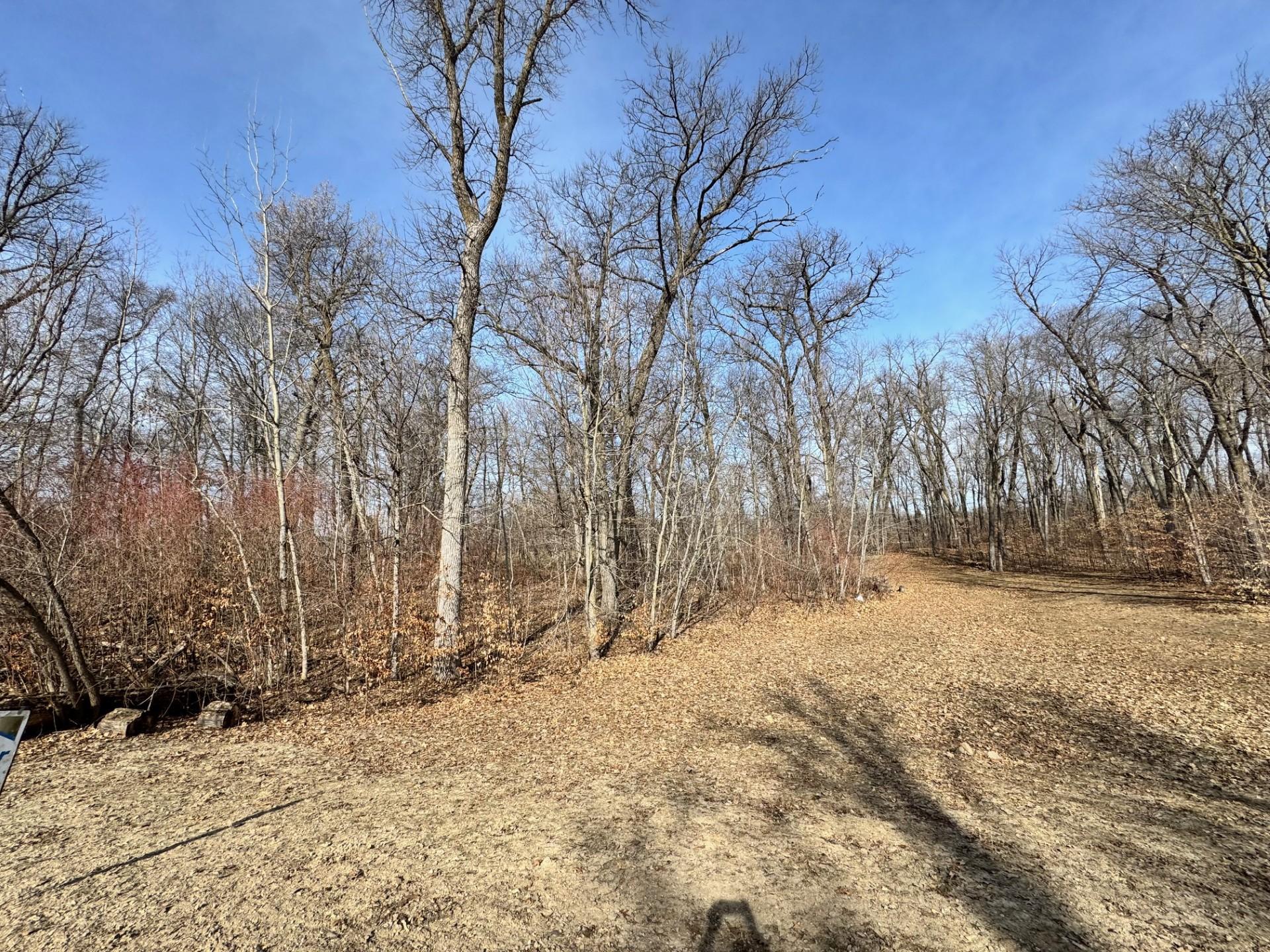 TBD Parview Lane NE, Alexandria MN 56308 - Photo 5 of 5