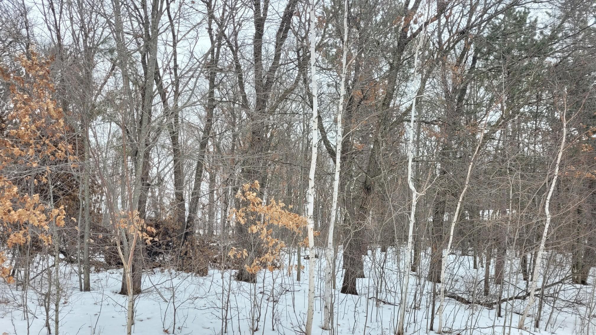 TBD* Snowshoe Trail, Staples MN 56479 - Photo 4 of 7