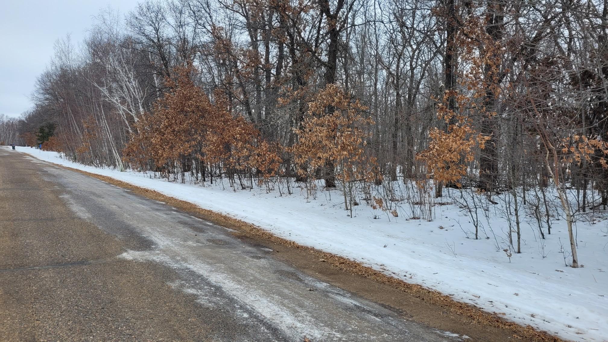 TBD* Snowshoe Trail, Staples MN 56479 - Photo 6 of 7