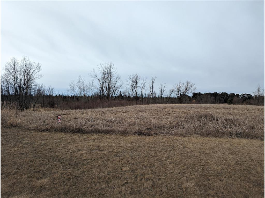 TBD Lot 5 Geneva Golf Club Drive NE, Alexandria MN 56308 - Photo 3 of 3