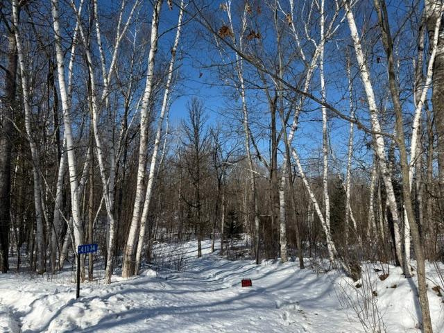 land for sale at 41174 Yellow Birch Lane in Emily, MN