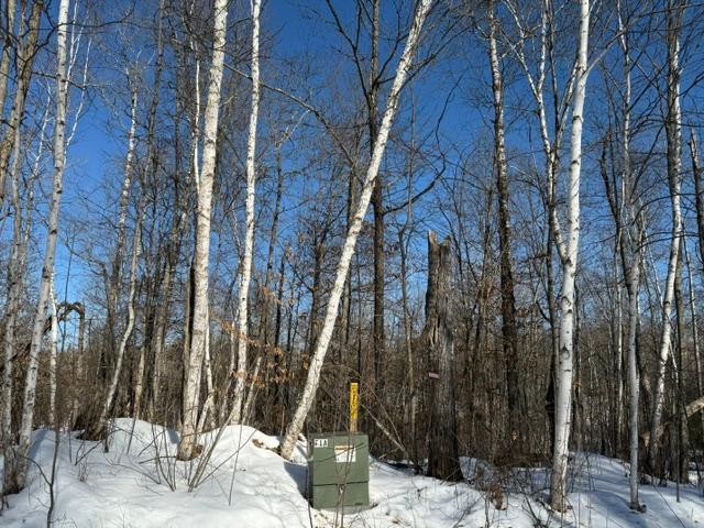 land for sale at 41174 Yellow Birch Lane in Emily, MN (photo 2 of 24)