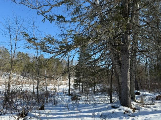 land for sale at 41174 Yellow Birch Lane in Emily, MN (photo 11 of 24)