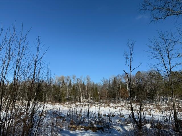 land for sale at 41174 Yellow Birch Lane in Emily, MN (photo 12 of 24)