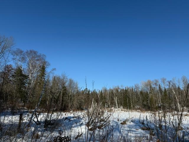 land for sale at 41174 Yellow Birch Lane in Emily, MN (photo 13 of 24)
