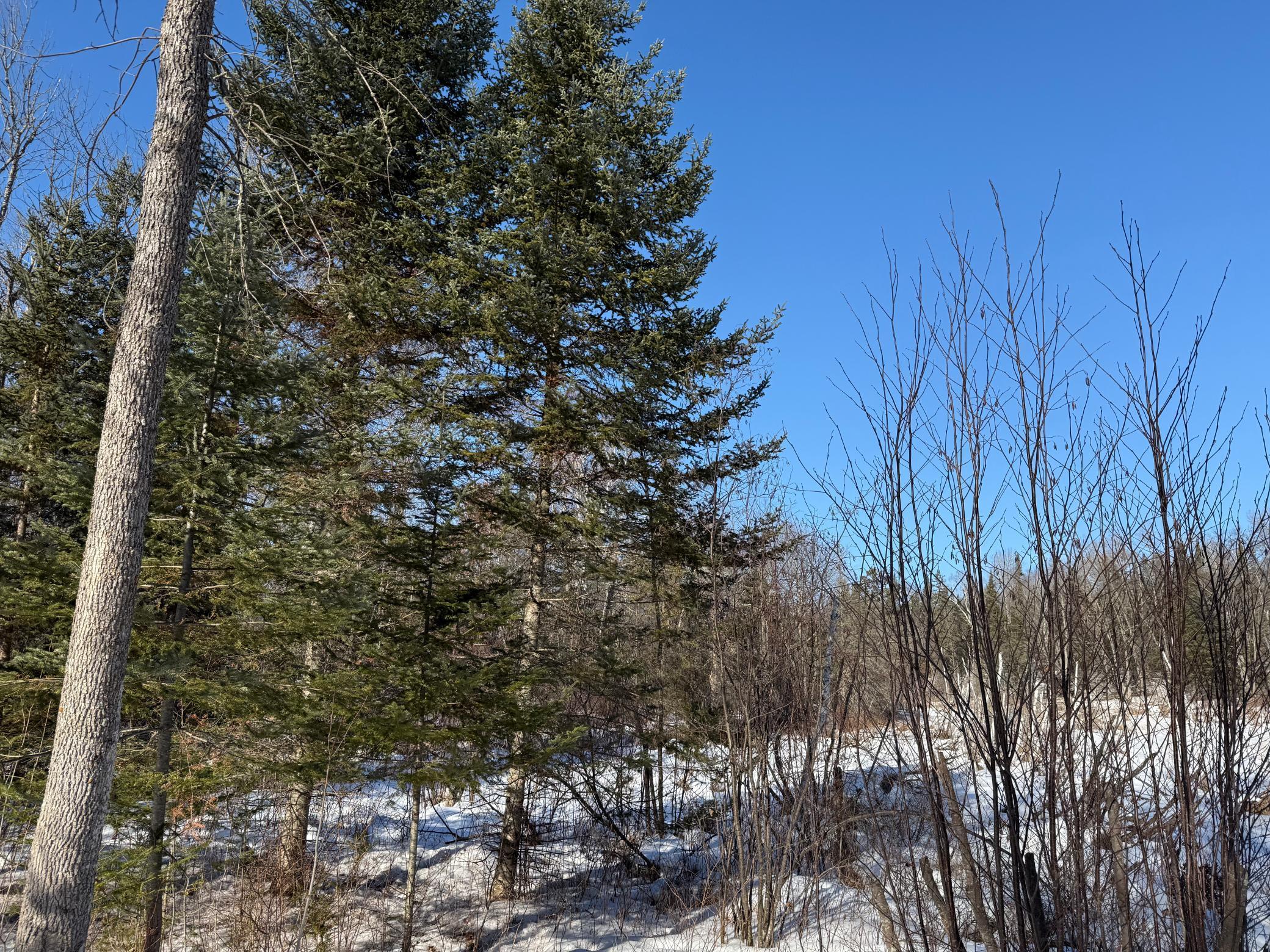 land for sale at 41174 Yellow Birch Lane in Emily, MN (photo 14 of 24)