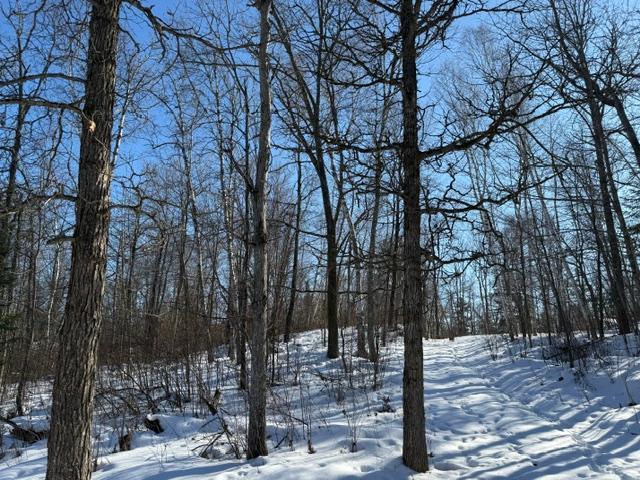 land for sale at 41174 Yellow Birch Lane in Emily, MN (photo 15 of 24)