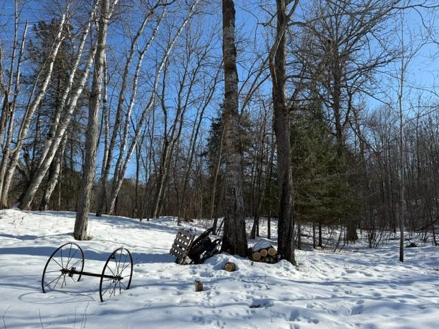 land for sale at 41174 Yellow Birch Lane in Emily, MN (photo 16 of 24)