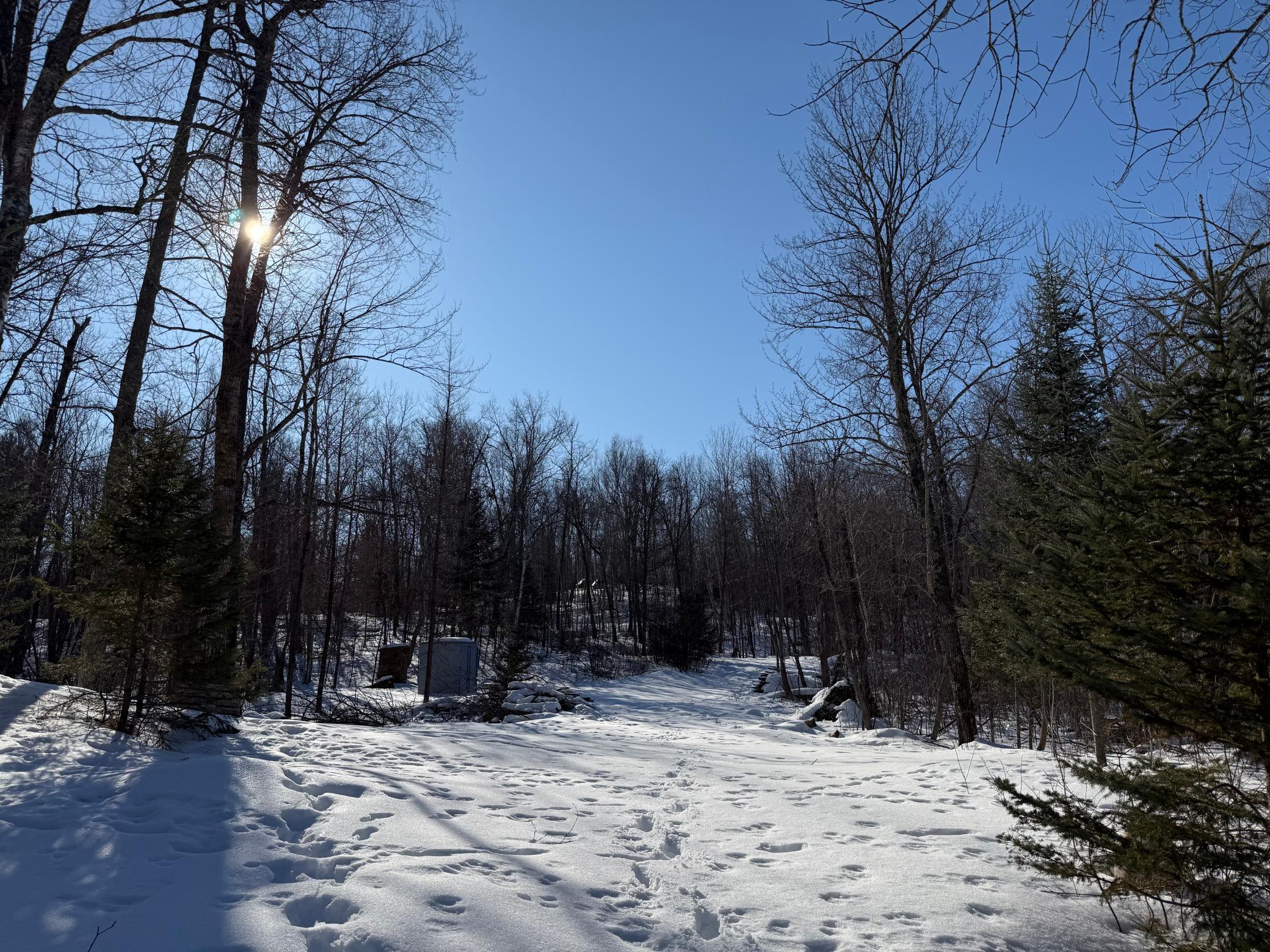 land for sale at 41174 Yellow Birch Lane in Emily, MN (photo 17 of 24)
