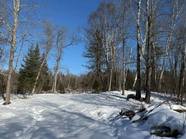 land for sale at 41174 Yellow Birch Lane in Emily, MN (photo 18 of 24)
