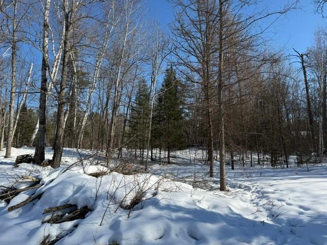 land for sale at 41174 Yellow Birch Lane in Emily, MN (photo 19 of 24)
