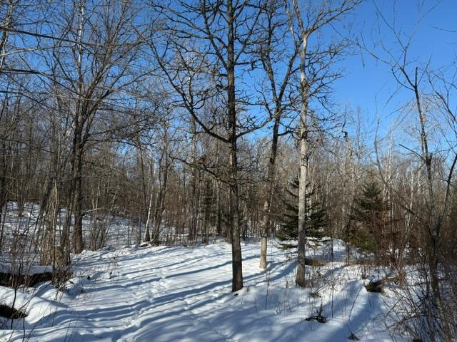 land for sale at 41174 Yellow Birch Lane in Emily, MN (photo 3 of 24)