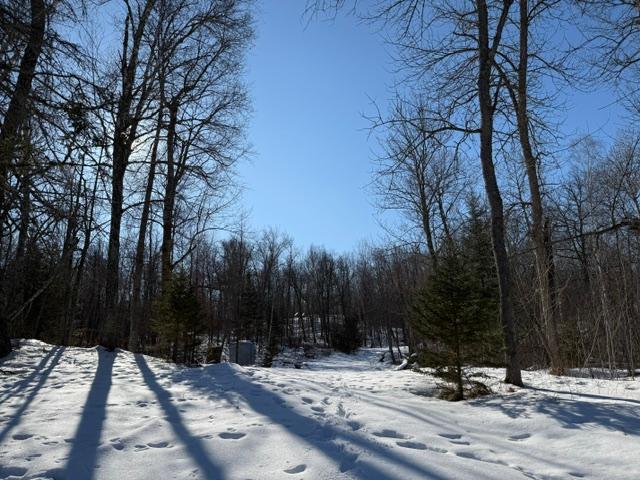land for sale at 41174 Yellow Birch Lane in Emily, MN (photo 21 of 24)