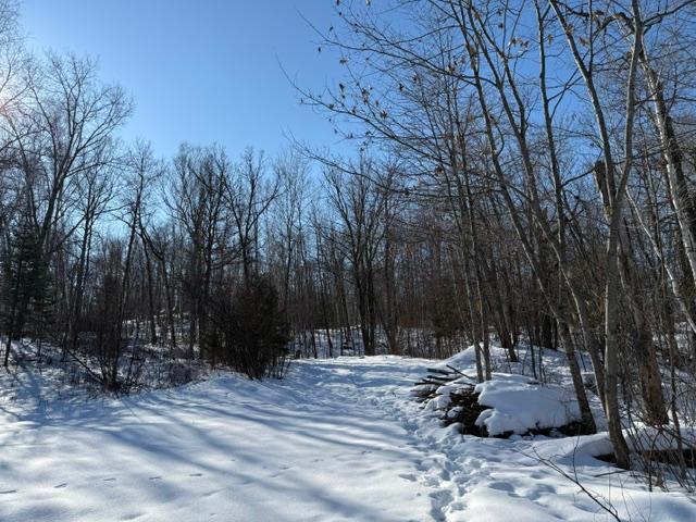 land for sale at 41174 Yellow Birch Lane in Emily, MN (photo 22 of 24)