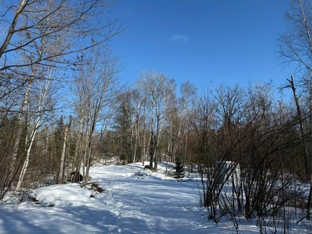 land for sale at 41174 Yellow Birch Lane in Emily, MN (photo 23 of 24)