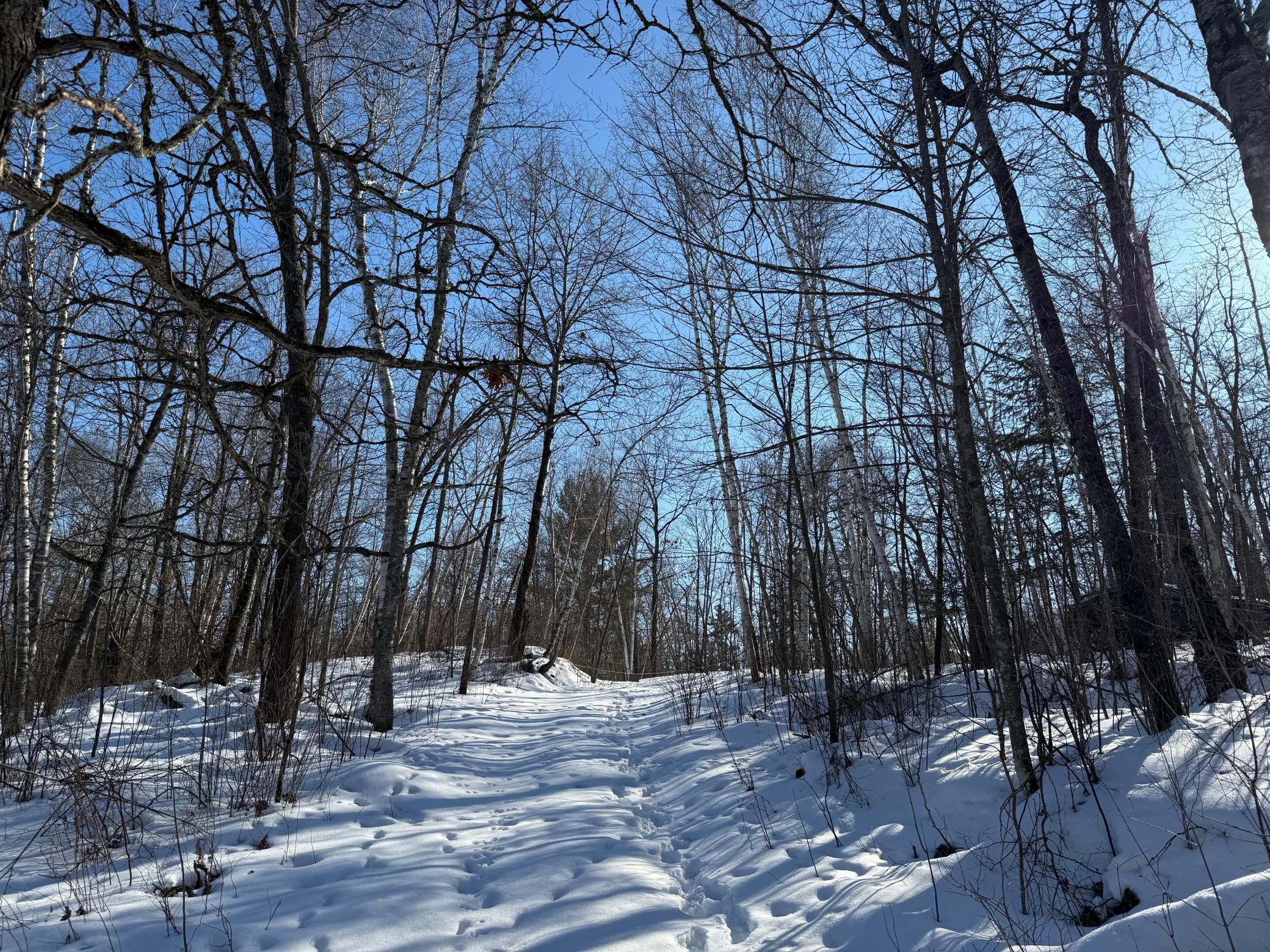 land for sale at 41174 Yellow Birch Lane in Emily, MN (photo 24 of 24)