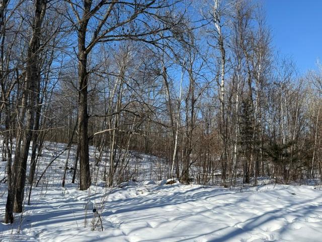 land for sale at 41174 Yellow Birch Lane in Emily, MN (photo 4 of 24)