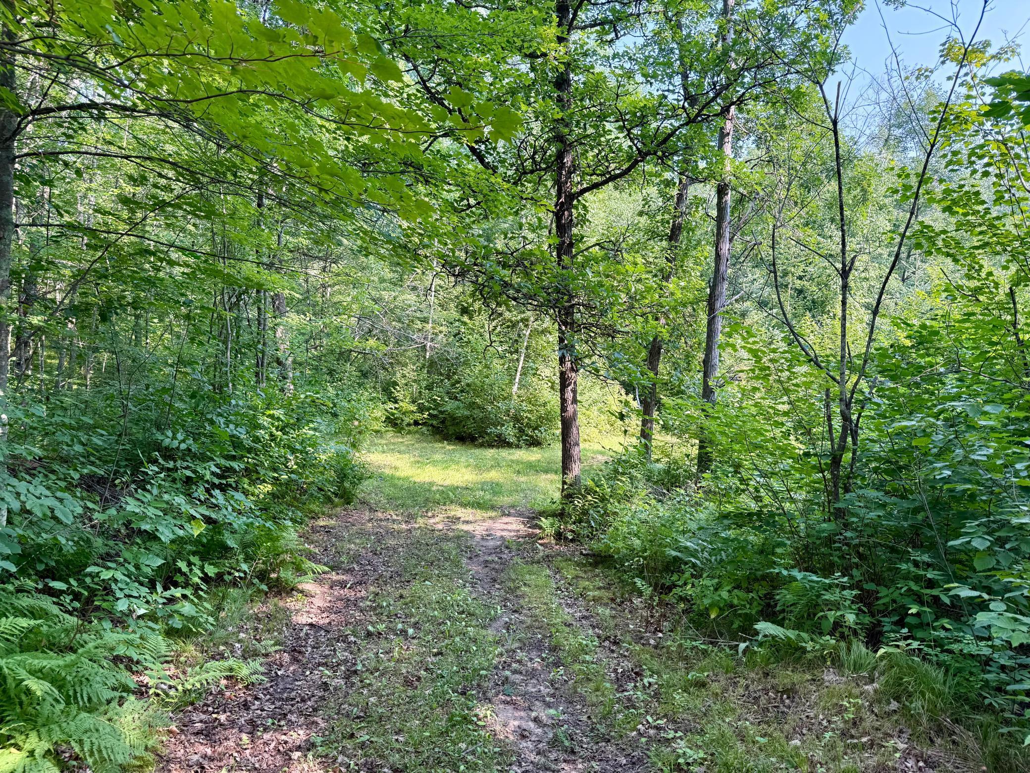 land for sale at 41174 Yellow Birch Lane in Emily, MN (photo 5 of 24)
