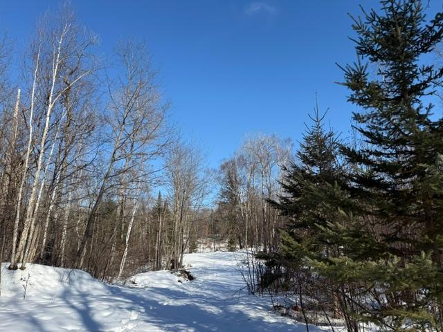 land for sale at 41174 Yellow Birch Lane in Emily, MN (photo 6 of 24)