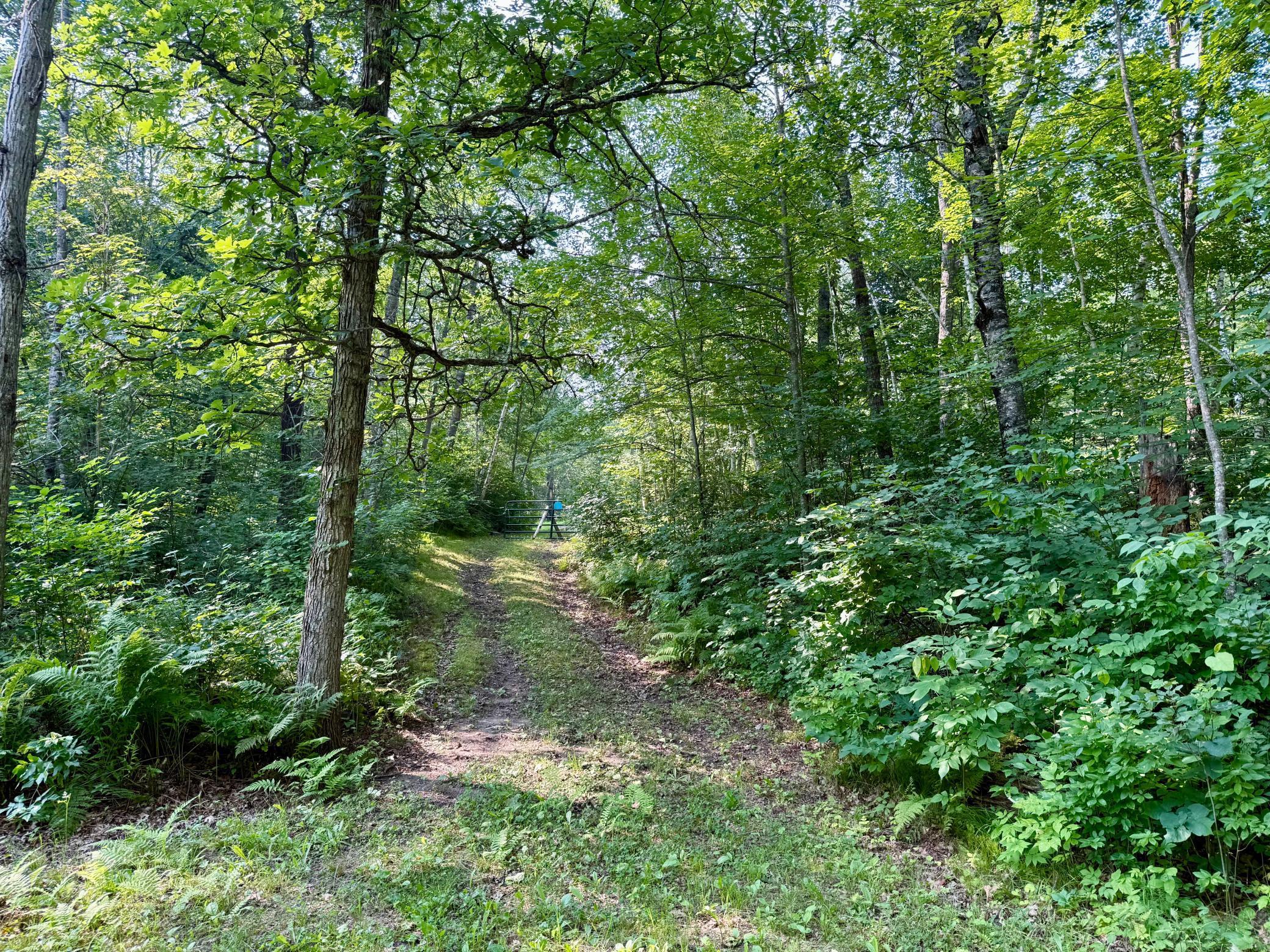 land for sale at 41174 Yellow Birch Lane in Emily, MN (photo 7 of 24)