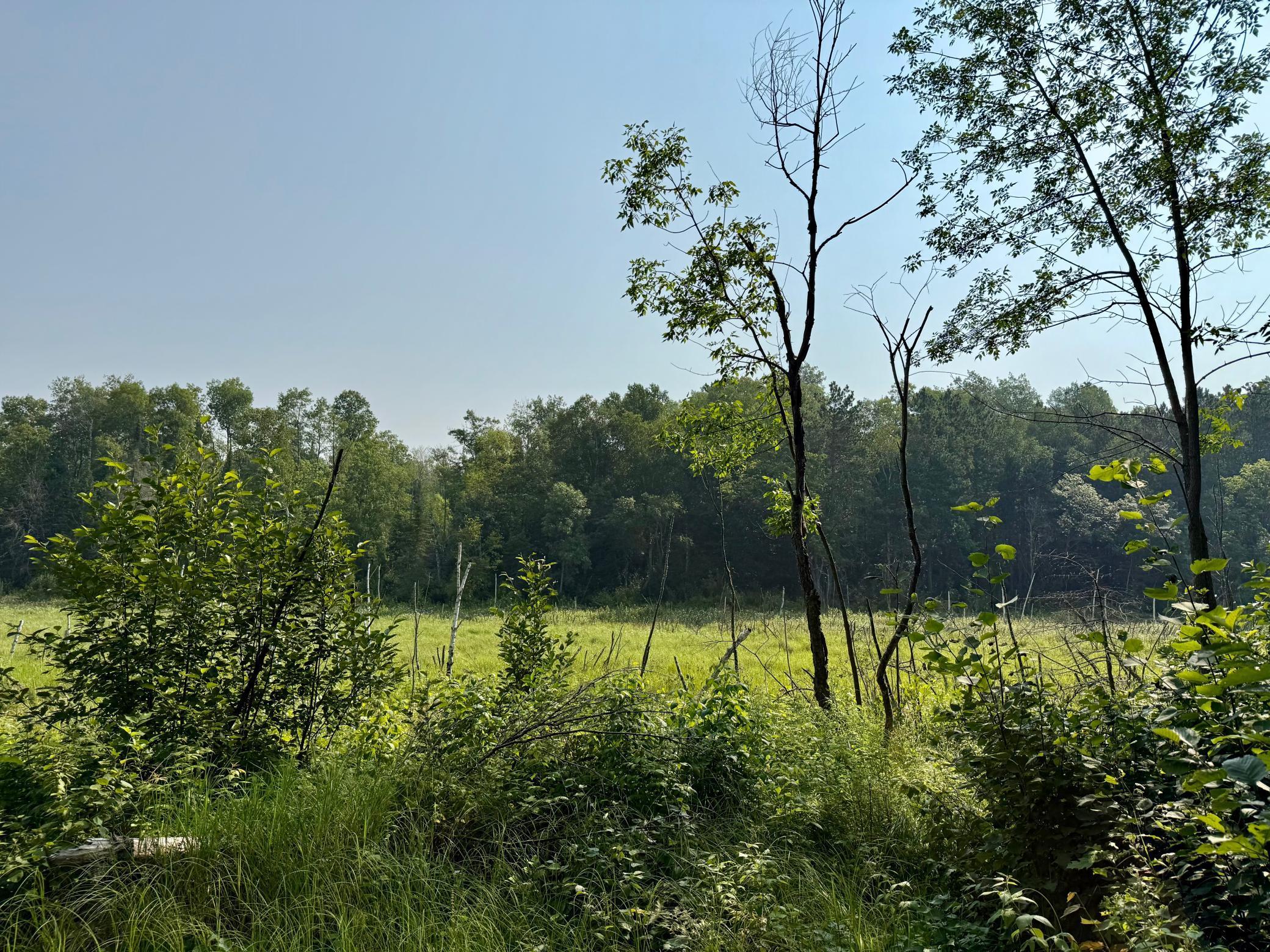 land for sale at 41174 Yellow Birch Lane in Emily, MN (photo 9 of 24)