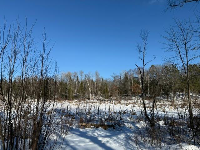 land for sale at 41174 Yellow Birch Lane in Emily, MN (photo 10 of 24)