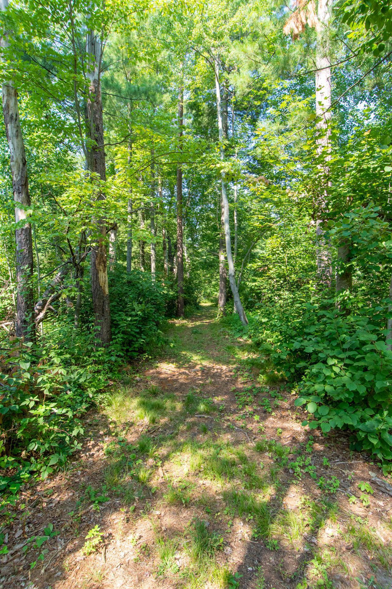 1977 single family home for sale at 20839 State Highway 371 in Brainerd, MN — 4 bed, 2 bath (photo 8 of 31)