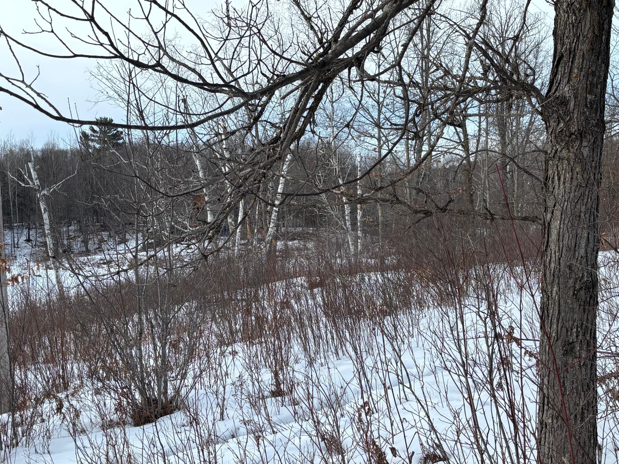 TBD Fawn Trail NE, Longville MN 56655 - Photo 12 of 14