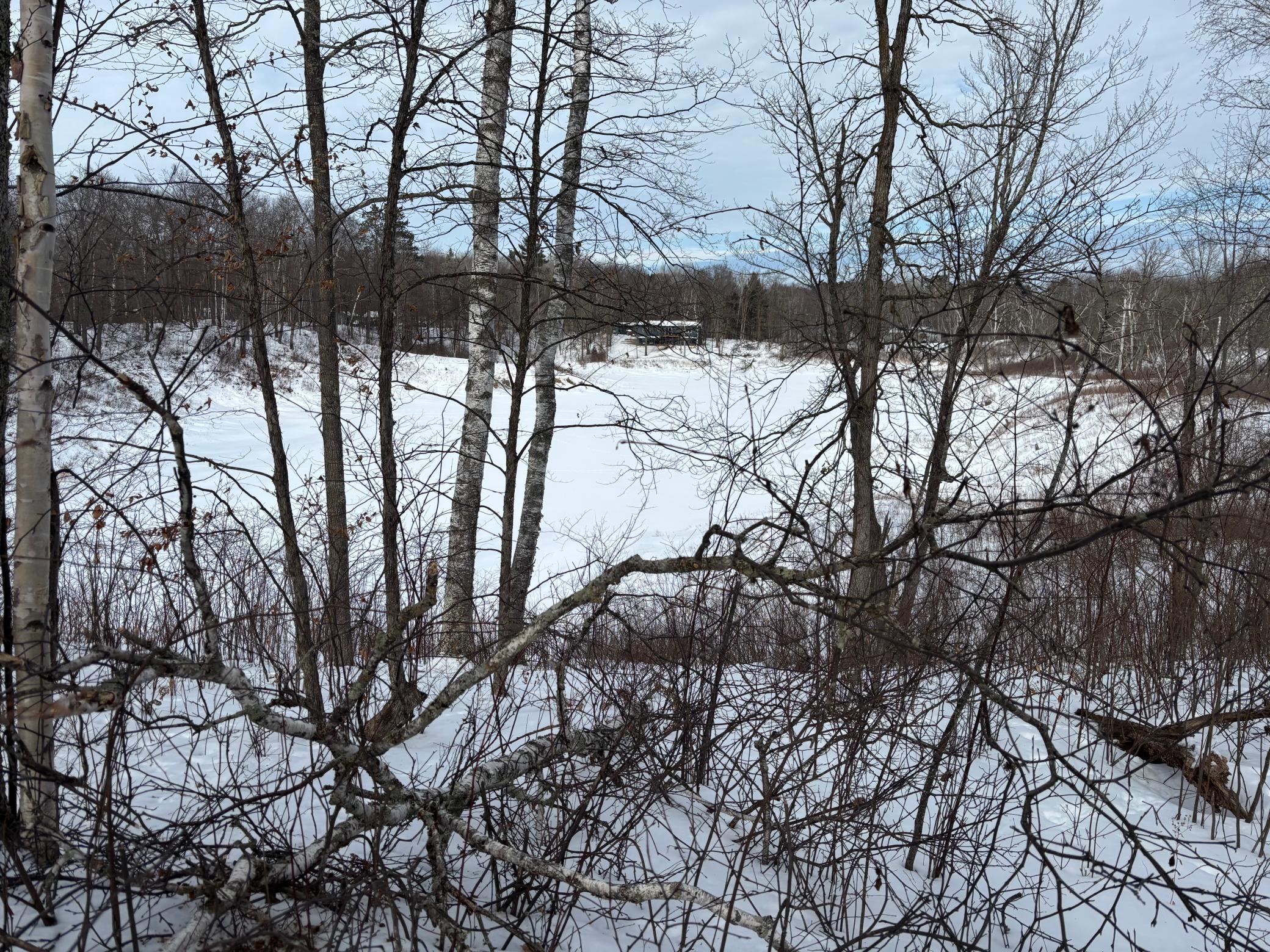 TBD Fawn Trail NE, Longville MN 56655 - Photo 3 of 14