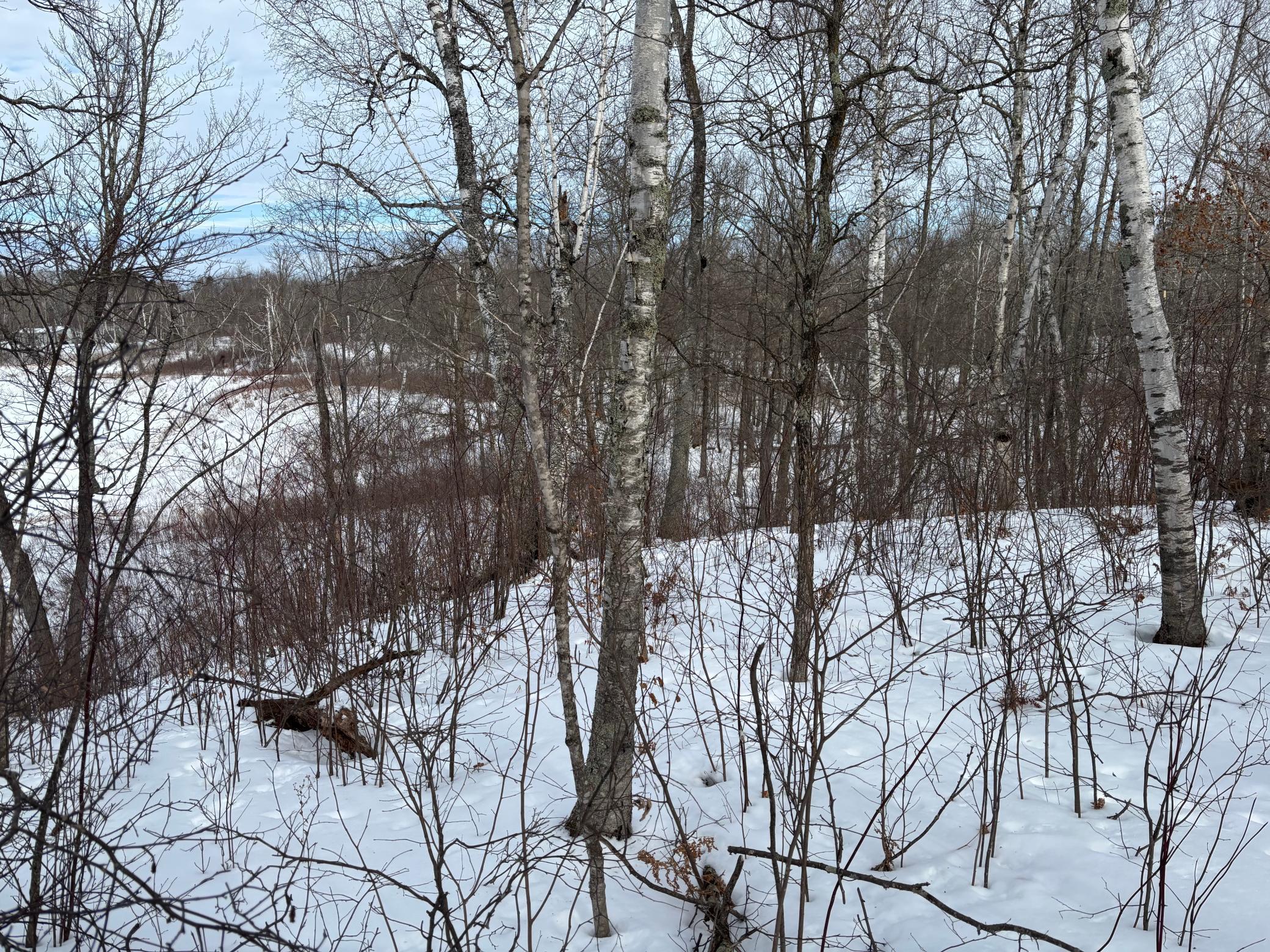 TBD Fawn Trail NE, Longville MN 56655 - Photo 4 of 14