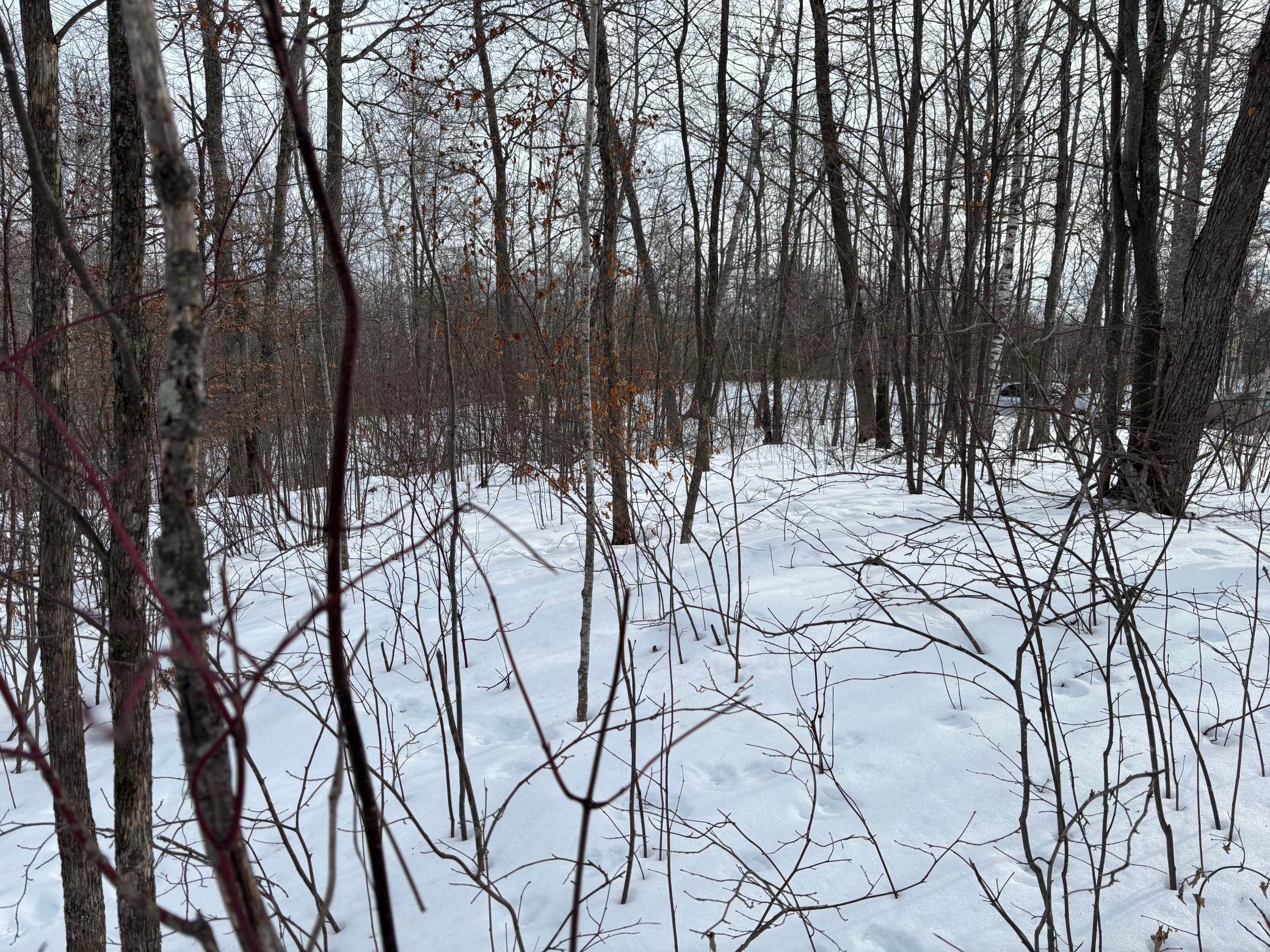 TBD Fawn Trail NE, Longville MN 56655 - Photo 6 of 14