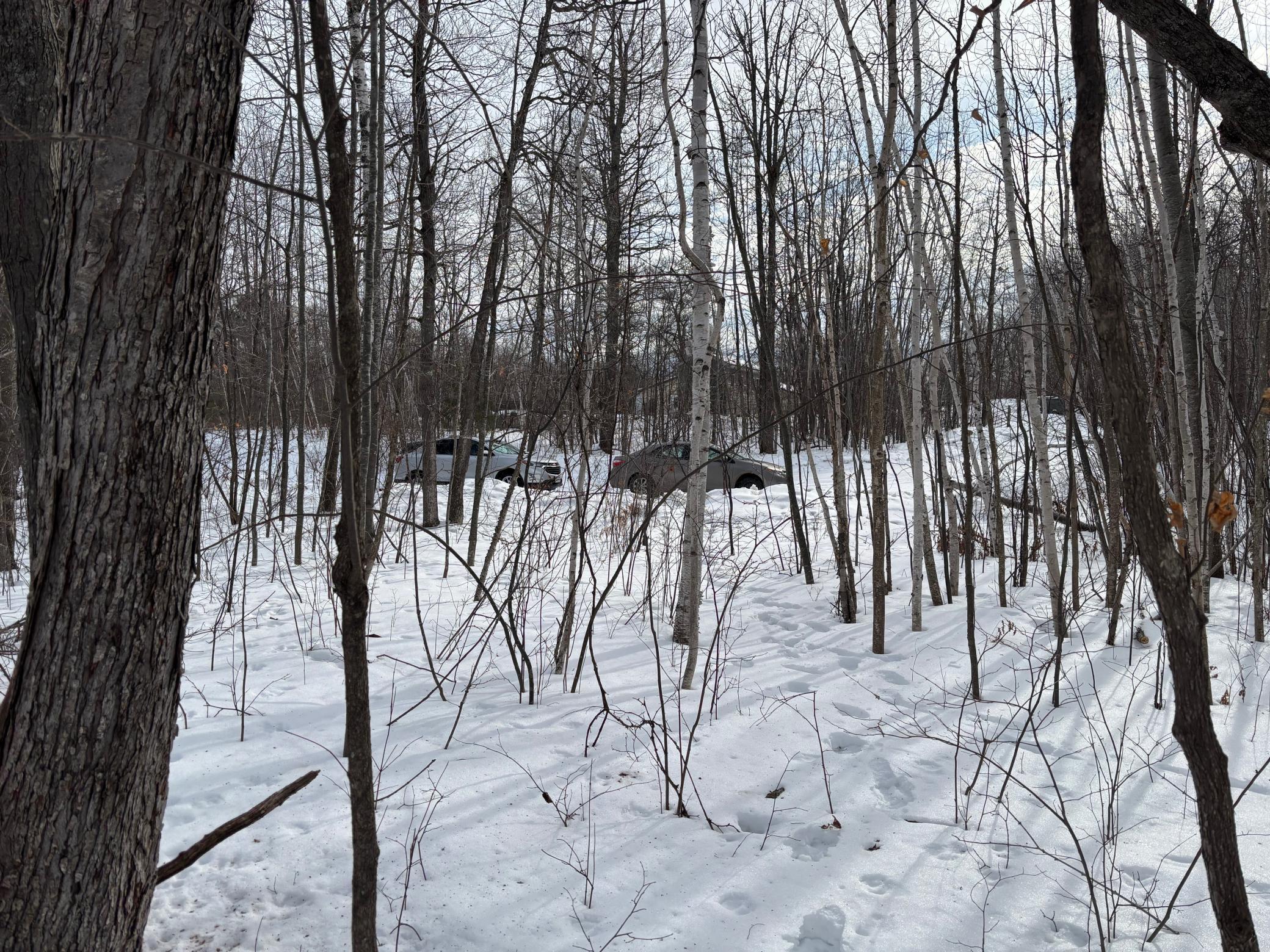 TBD Fawn Trail NE, Longville MN 56655 - Photo 7 of 14