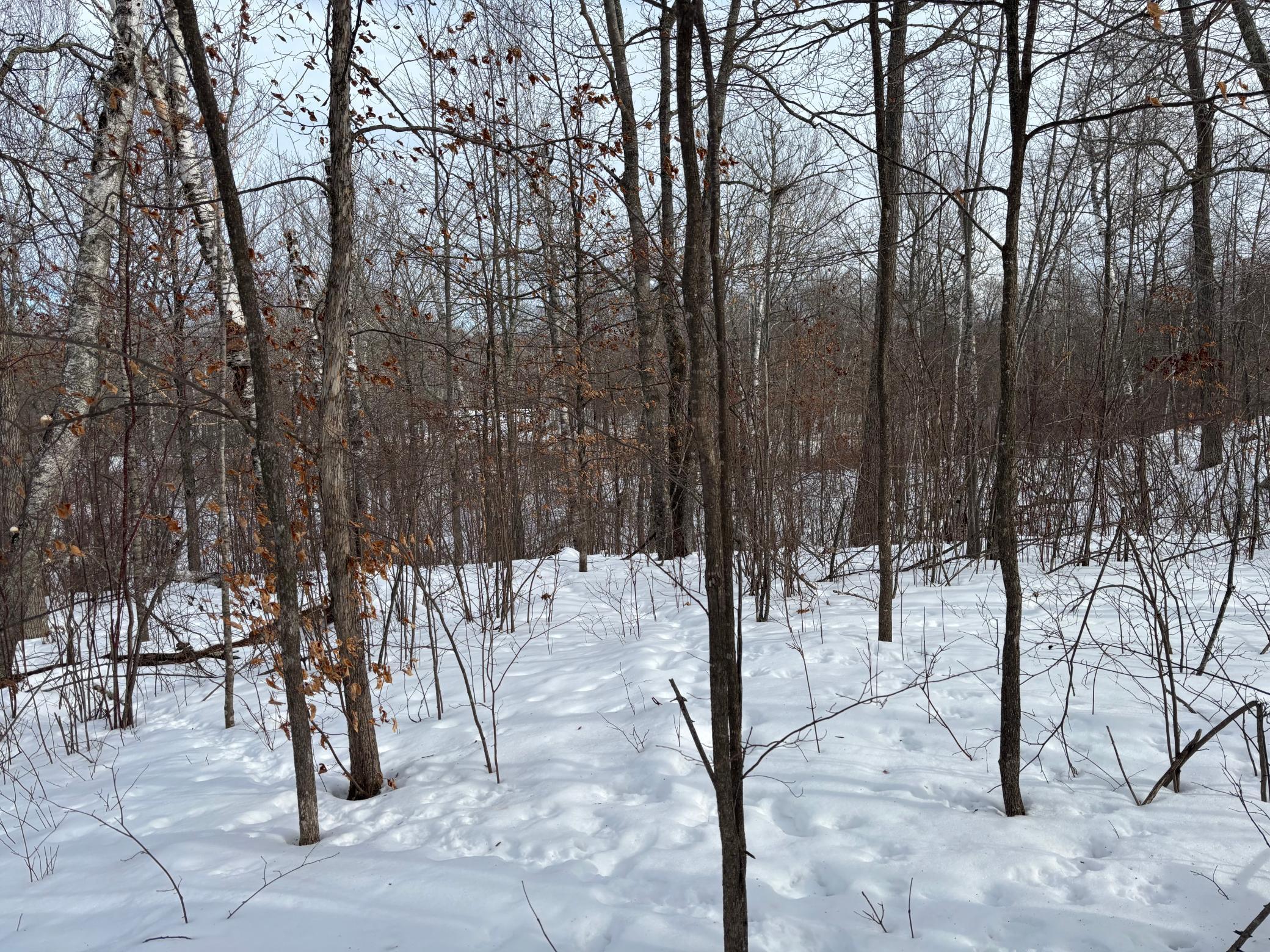 TBD Fawn Trail NE, Longville MN 56655 - Photo 8 of 14