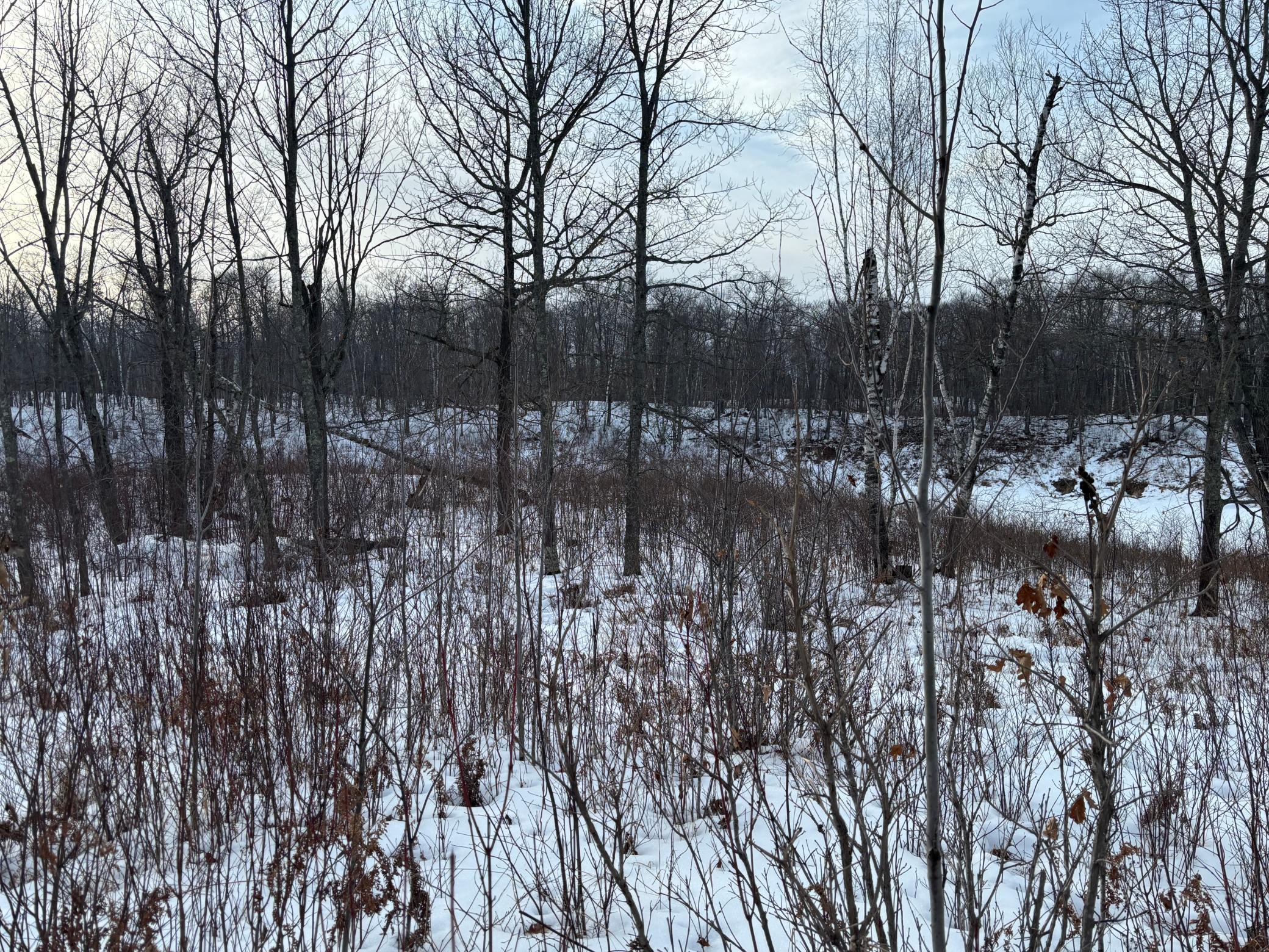 TBD Fawn Trail NE, Longville MN 56655 - Photo 10 of 14