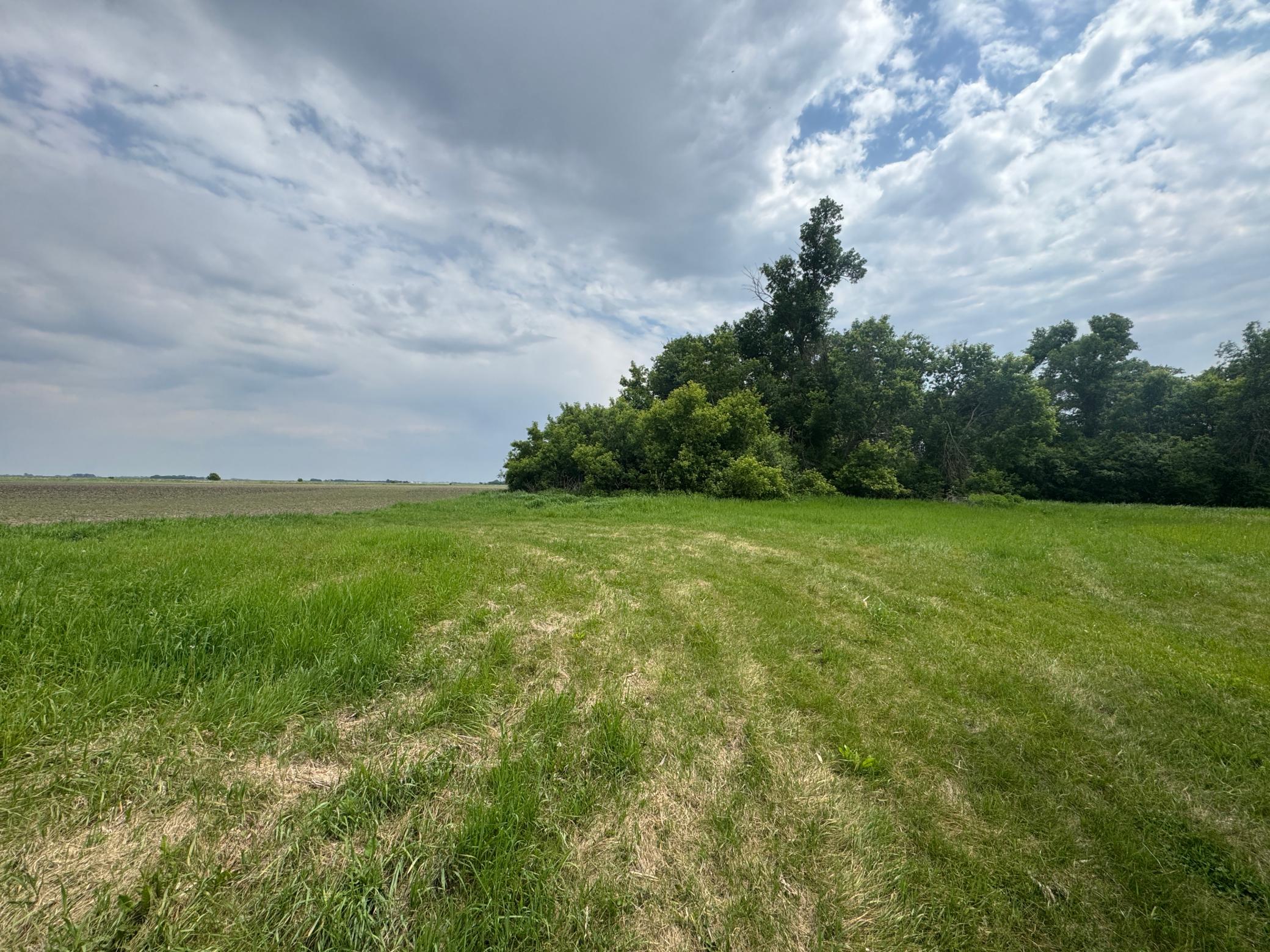 1265 170th Street, Wolverton MN 56594 - Photo 5 of 8