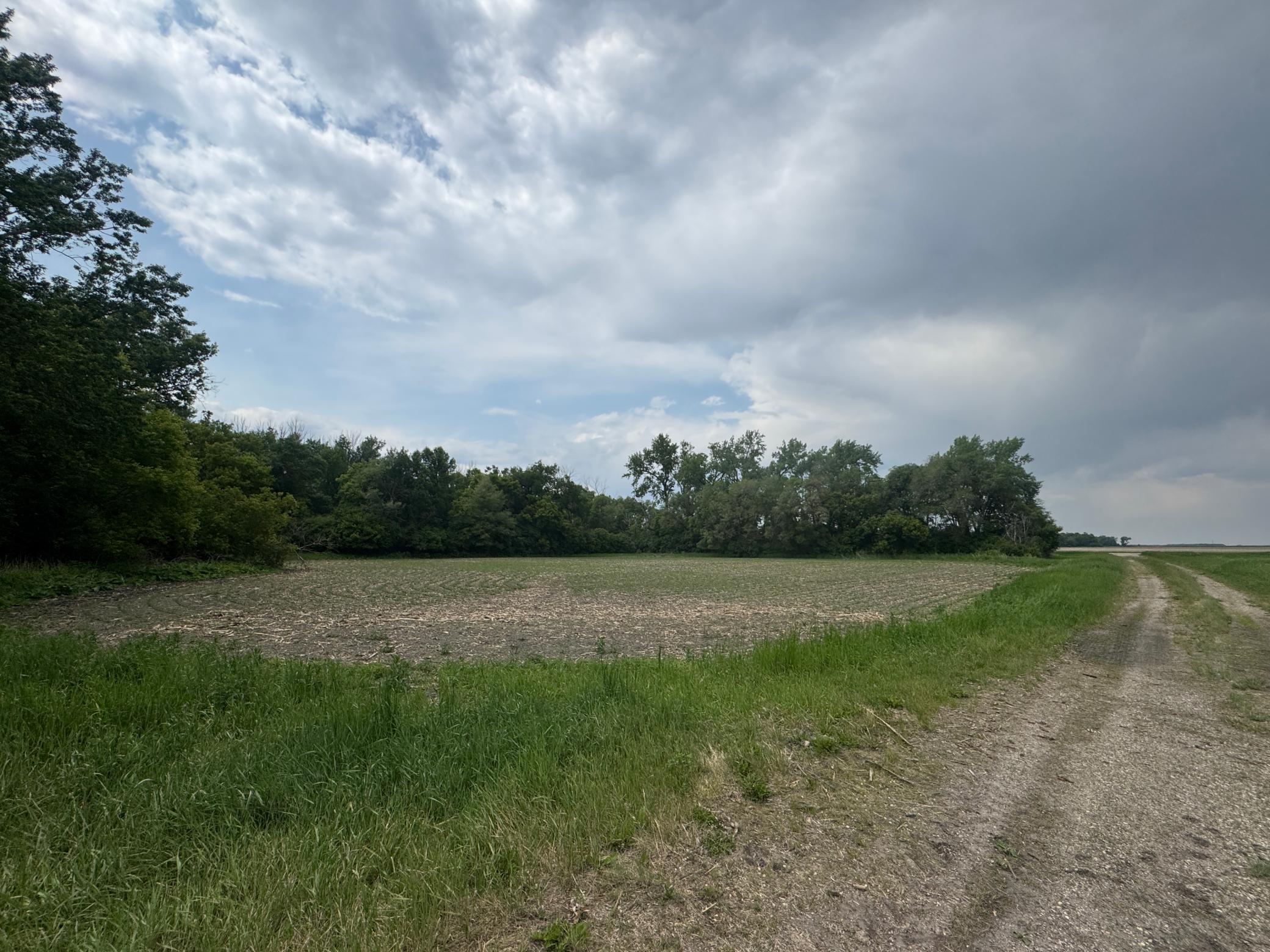 1265 170th Street, Wolverton MN 56594 - Photo 6 of 8
