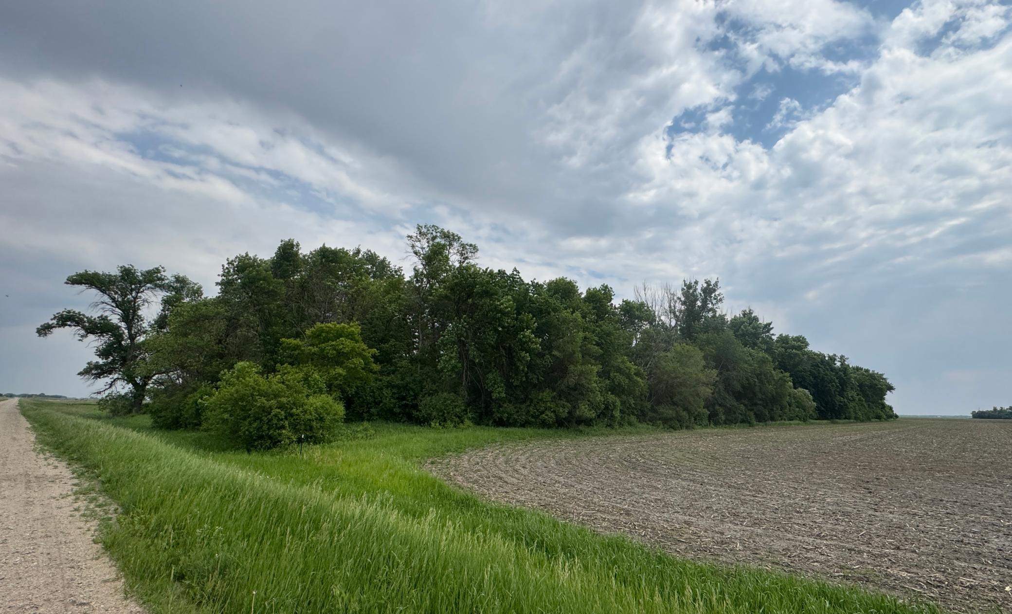 1265 170th Street, Wolverton MN 56594 - Photo 7 of 8