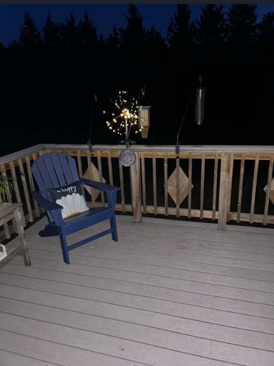 29533 505th Avenue, Henning MN 56551 - Photo 30 of 50