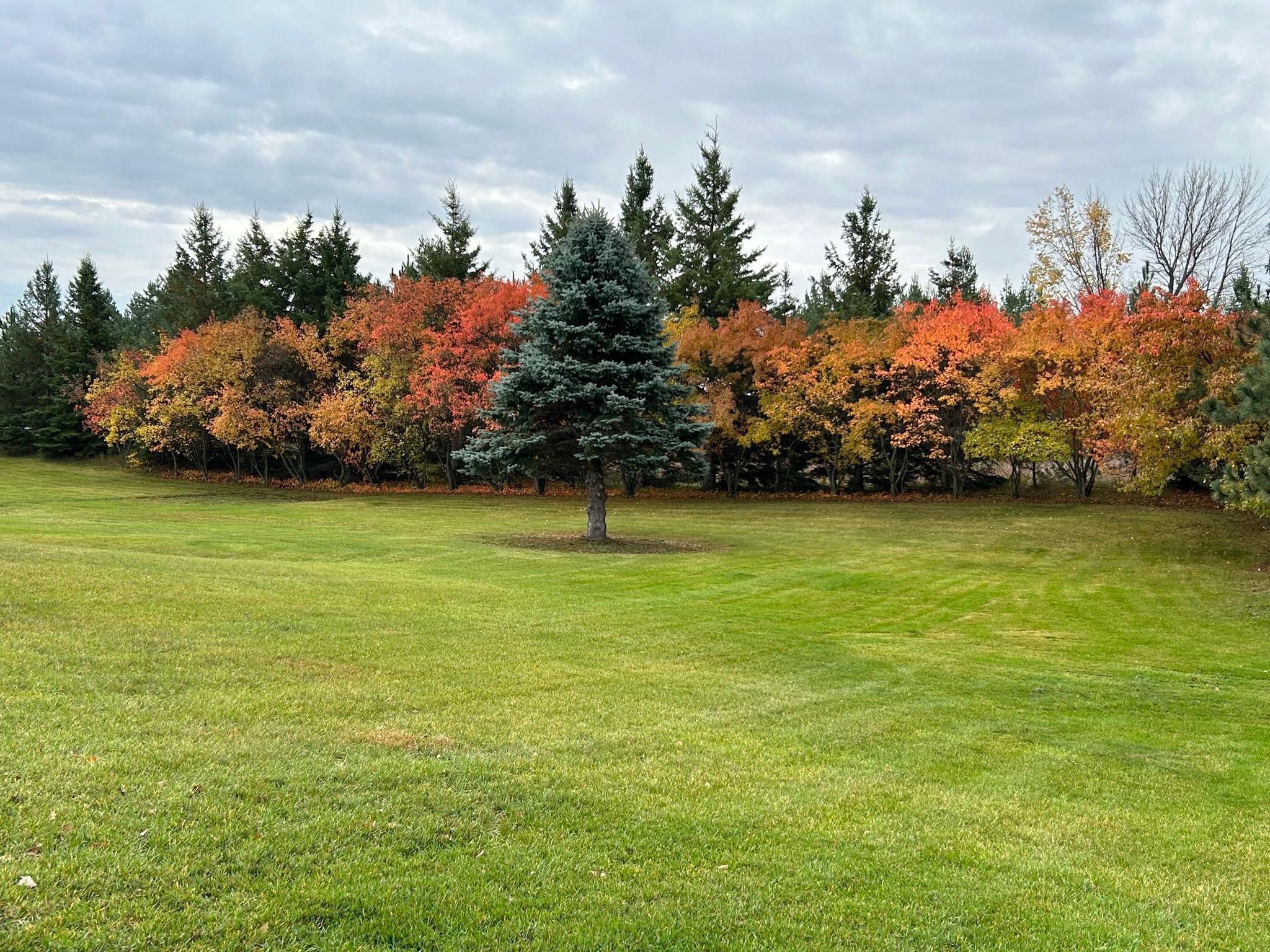 29533 505th Avenue, Henning MN 56551 - Photo 43 of 50