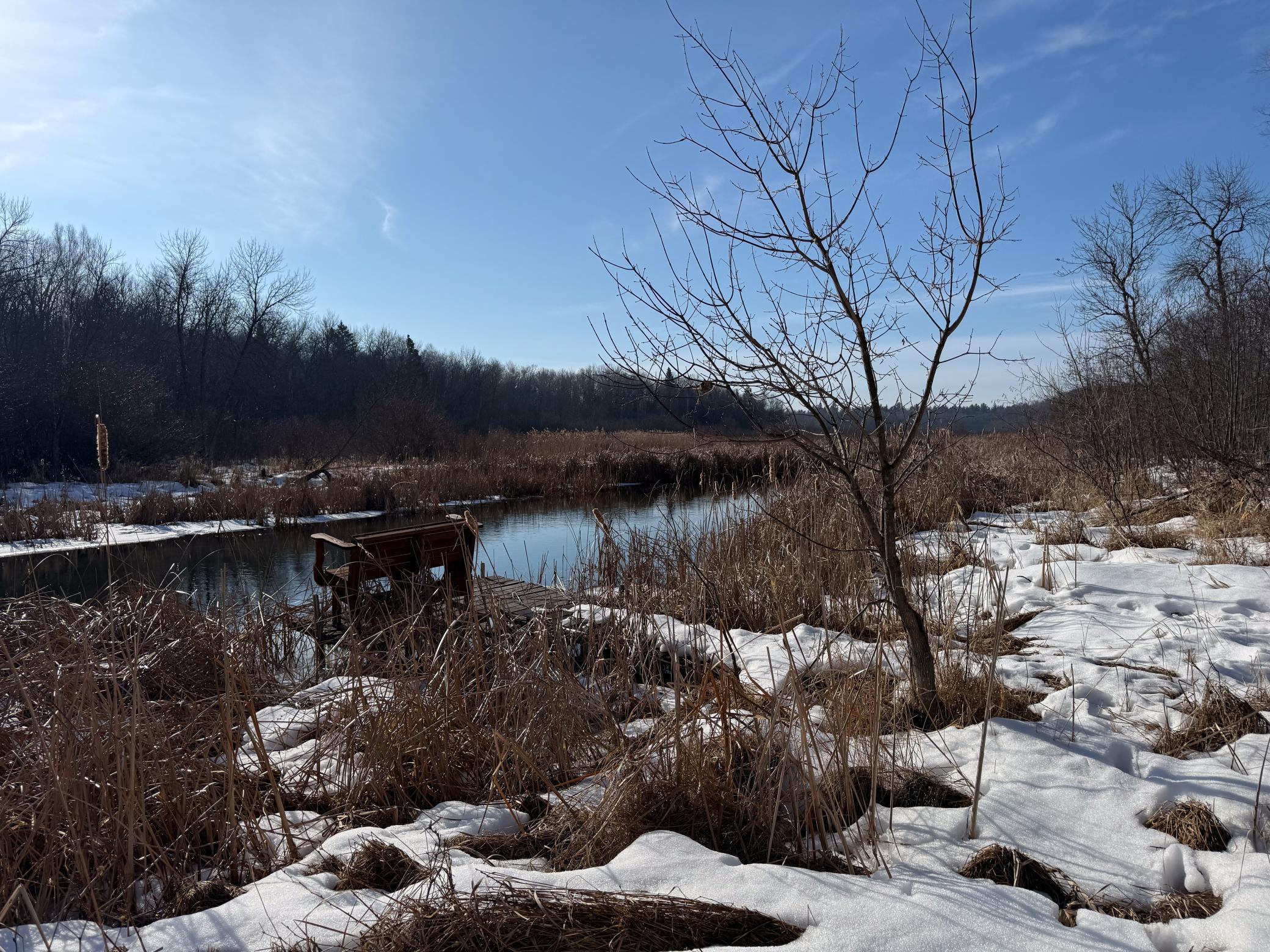 1980 land for sale at 23847 Arcade Loop in Menahga, MN (photo 34 of 43)