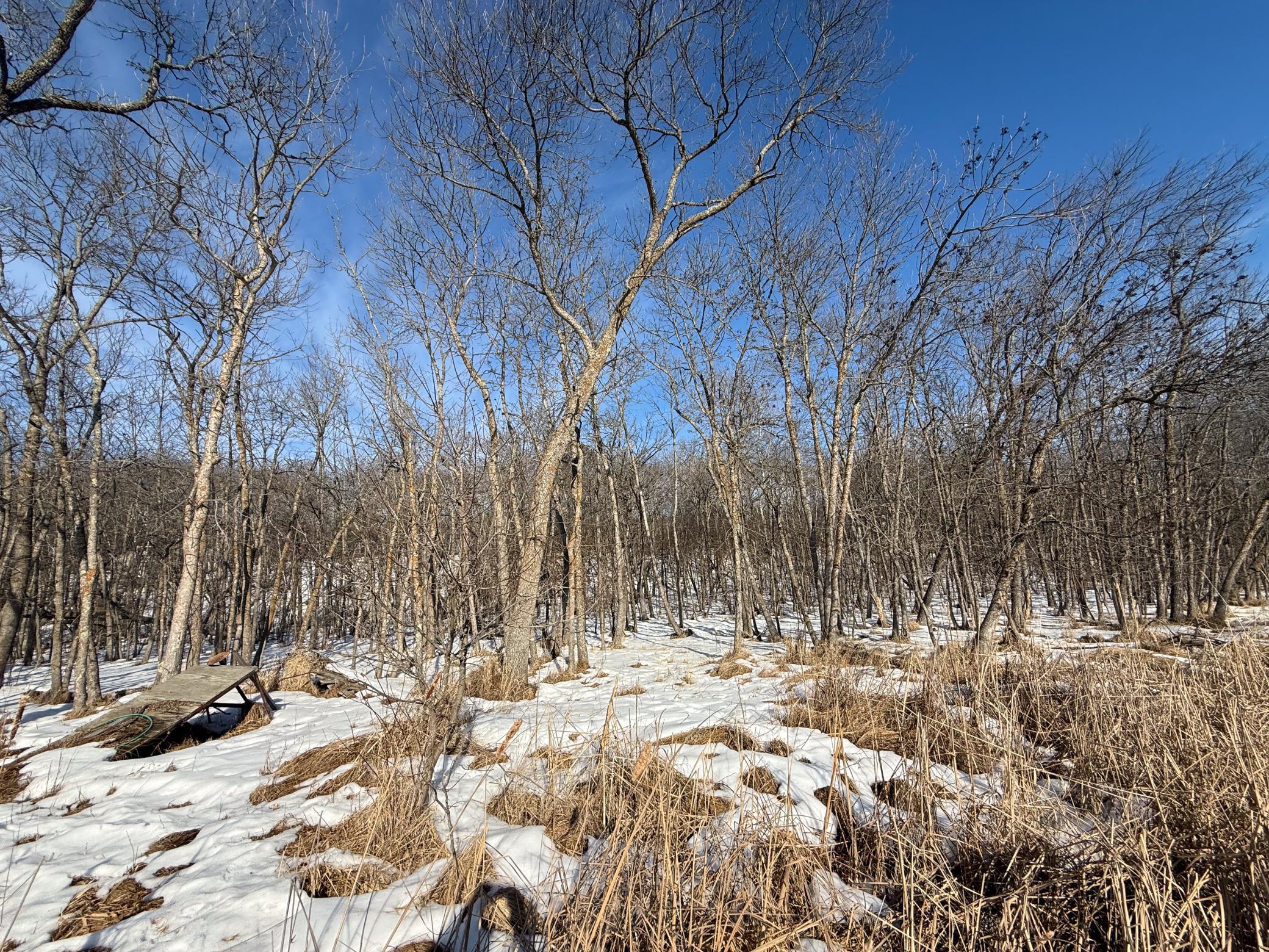 1980 land for sale at 23847 Arcade Loop in Menahga, MN (photo 36 of 43)