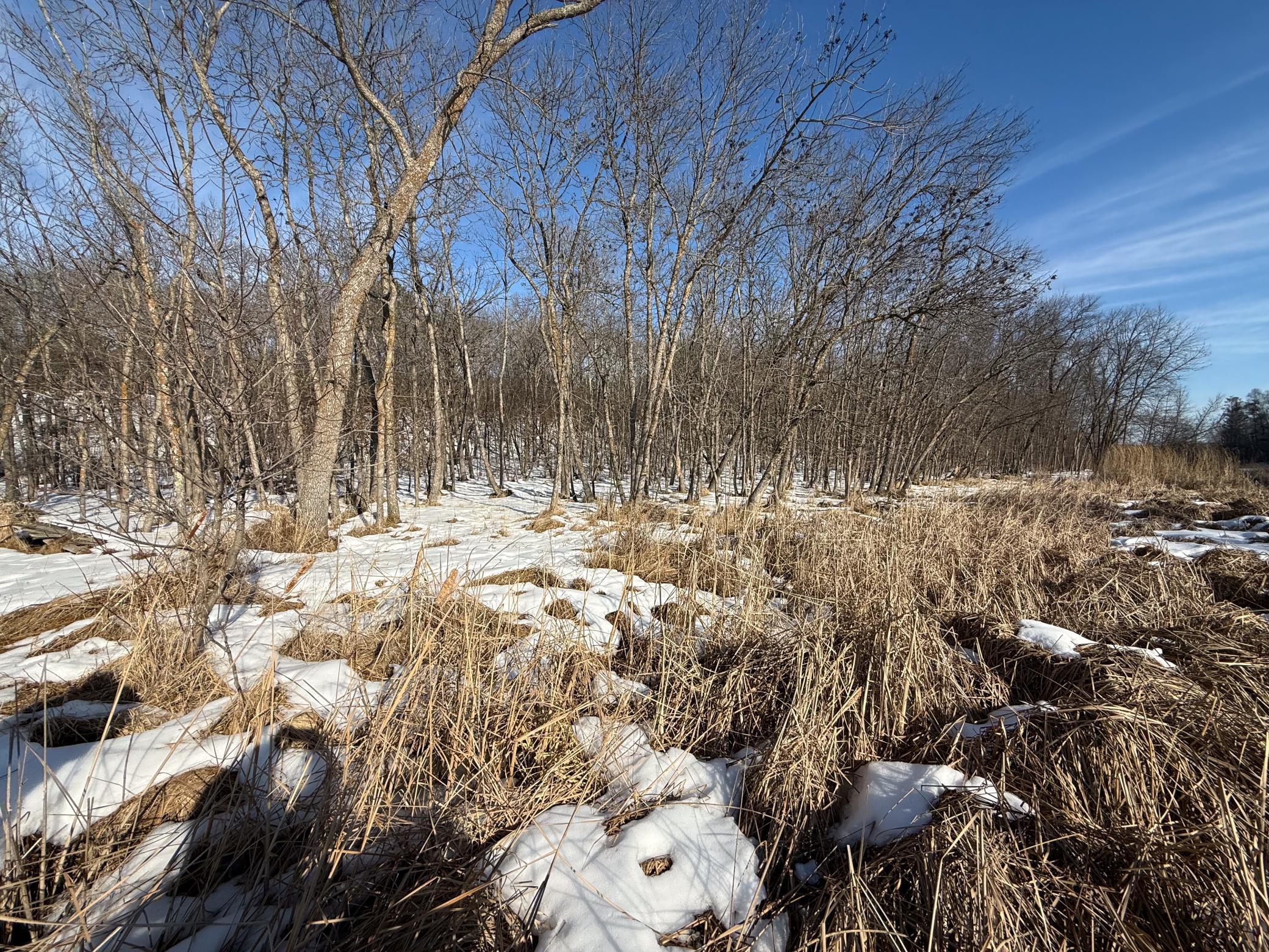 1980 land for sale at 23847 Arcade Loop in Menahga, MN (photo 37 of 43)