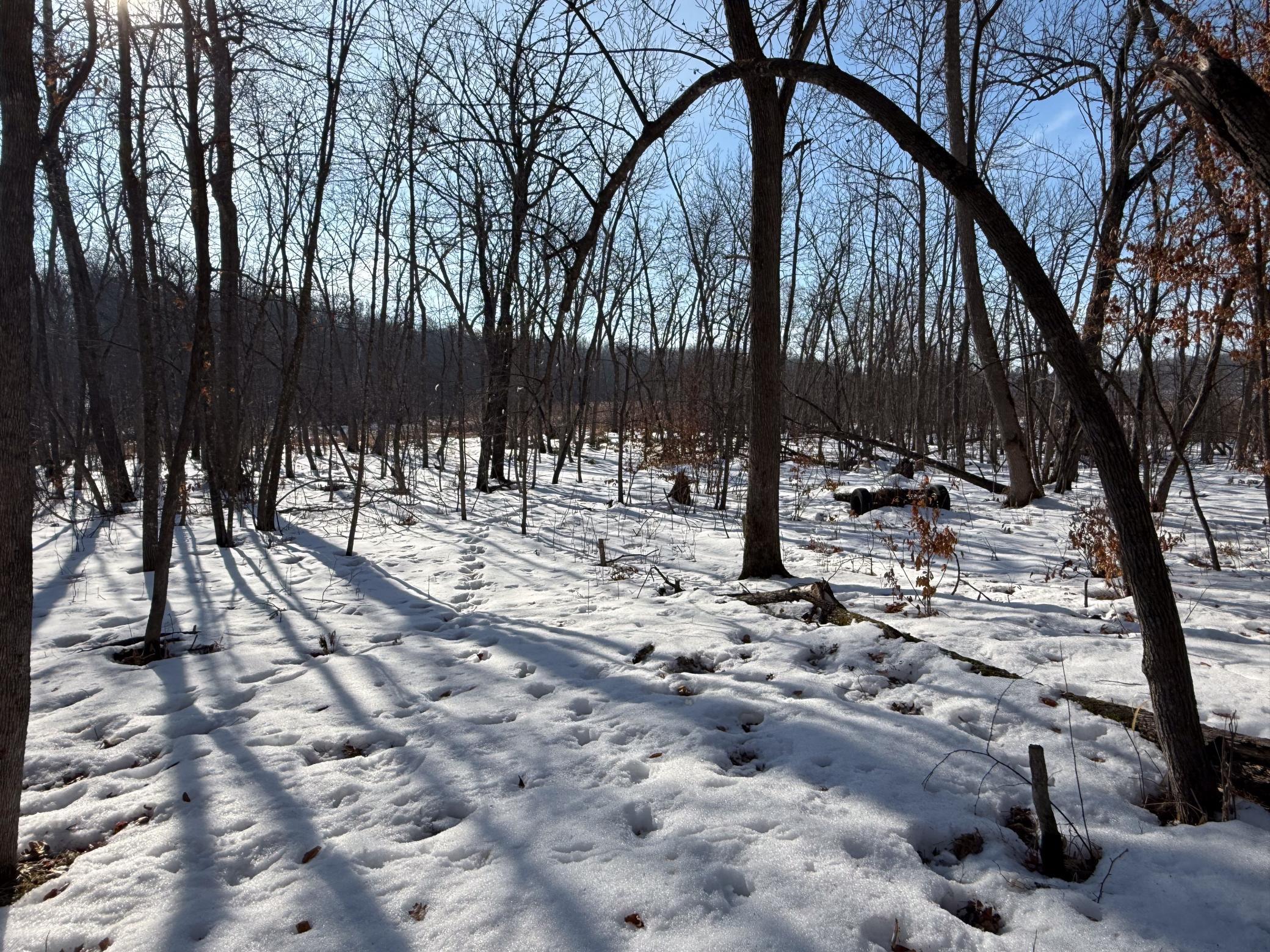 1980 land for sale at 23847 Arcade Loop in Menahga, MN (photo 38 of 43)