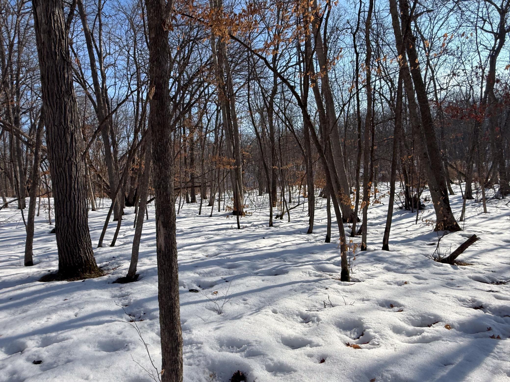 1980 land for sale at 23847 Arcade Loop in Menahga, MN (photo 39 of 43)