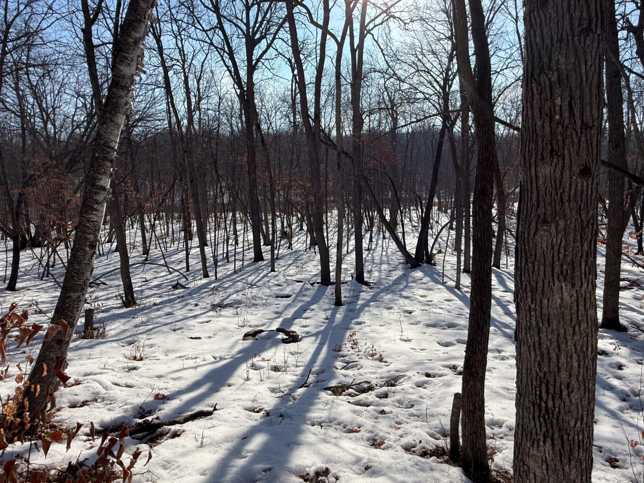 1980 land for sale at 23847 Arcade Loop in Menahga, MN (photo 40 of 43)