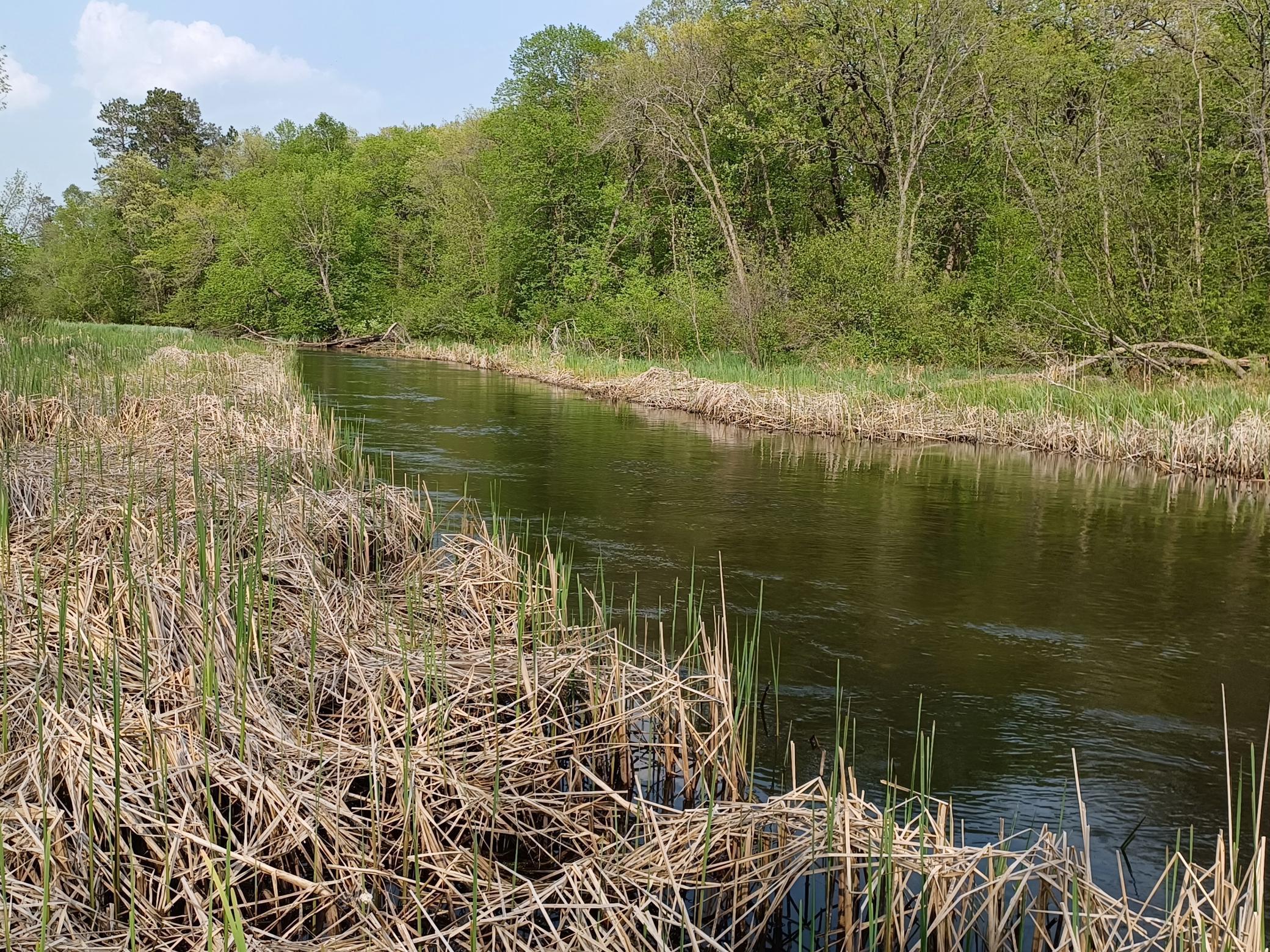 1980 land for sale at 23847 Arcade Loop in Menahga, MN (photo 5 of 43)