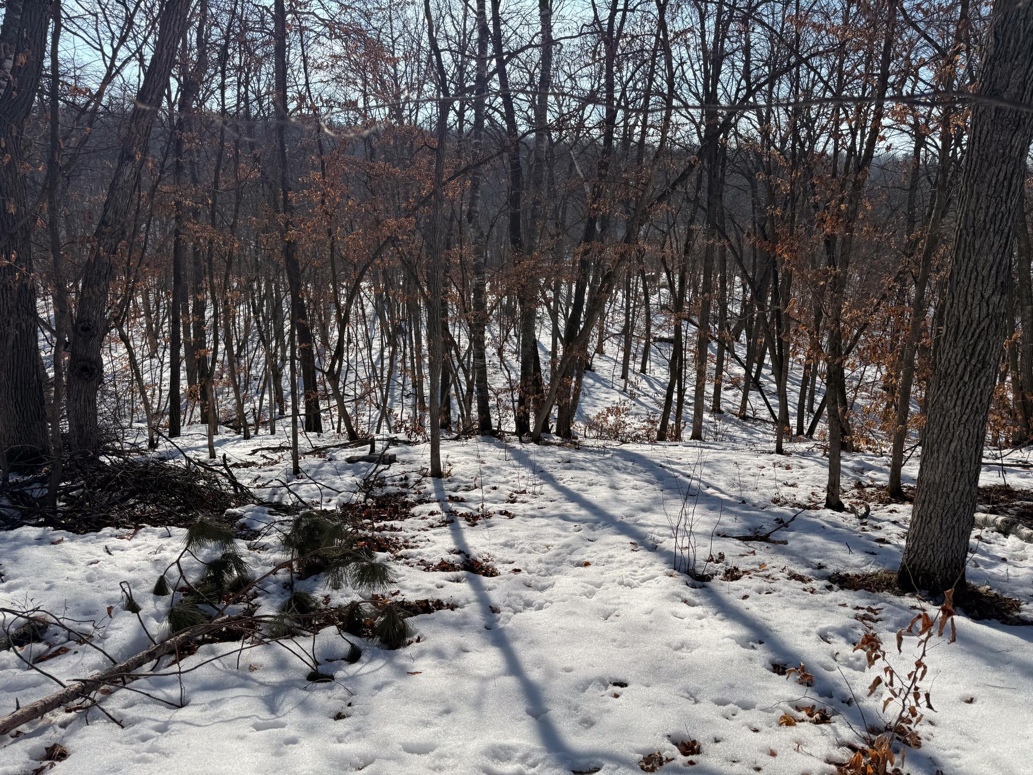 1980 land for sale at 23847 Arcade Loop in Menahga, MN (photo 42 of 43)